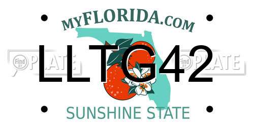 LLTG42 Florida License Plate