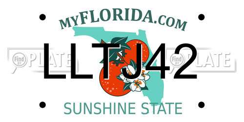 LLTJ42 Florida License Plate