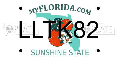 LLTK82 Florida License Plate