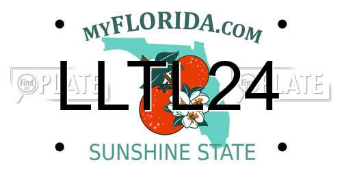 LLTL24 Florida License Plate