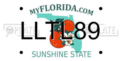 LLTL89 Florida License Plate