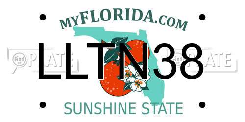 LLTN38 Florida License Plate