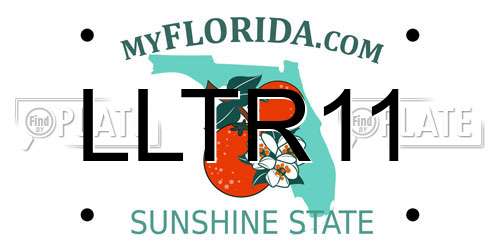 LLTR11 Florida License Plate