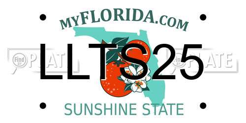 LLTS25 Florida License Plate