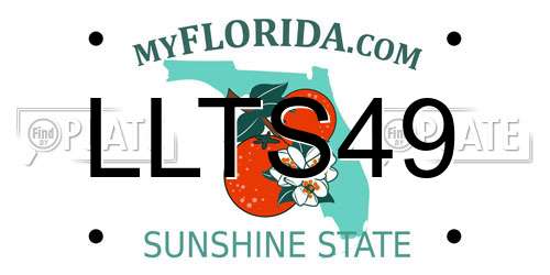 LLTS49 Florida License Plate