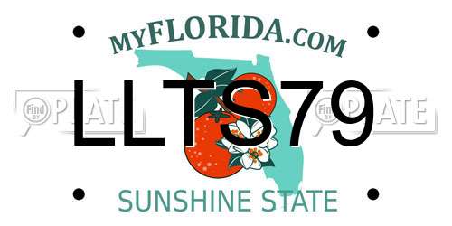 LLTS79 Florida License Plate