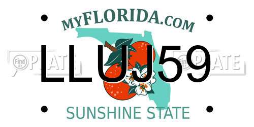 LLUJ59 Florida License Plate