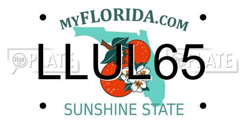 LLUL65 Florida License Plate