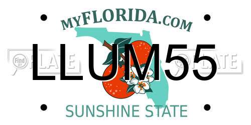 LLUM55 Florida License Plate