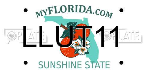LLUT11 Florida License Plate