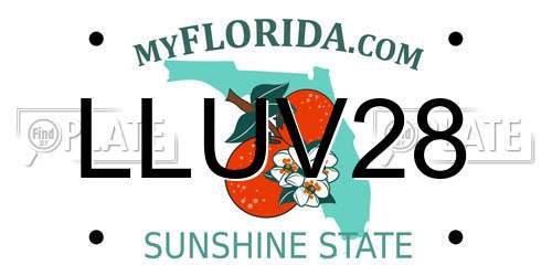 LLUV28 Florida License Plate