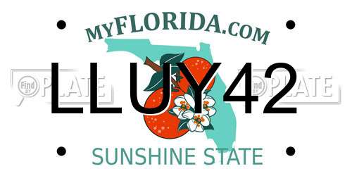 LLUY42 Florida License Plate