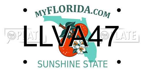 LLVA47 Florida License Plate