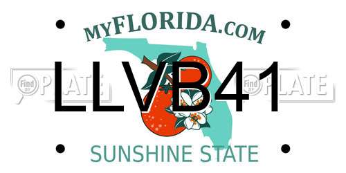 LLVB41 Florida License Plate