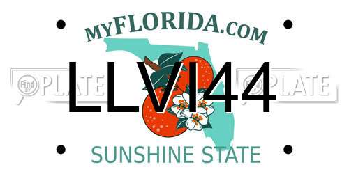LLVI44 Florida License Plate