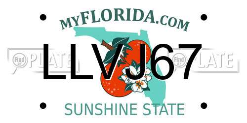 LLVJ67 Florida License Plate