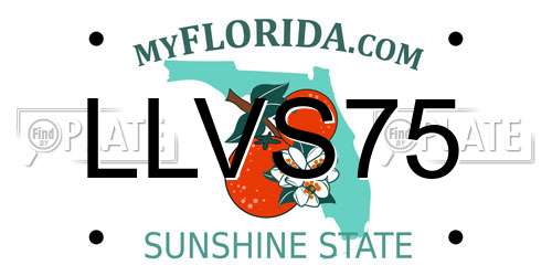 LLVS75 Florida License Plate