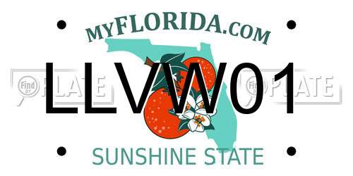 LLVW01 Florida License Plate