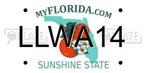 LLWA14 Florida License Plate