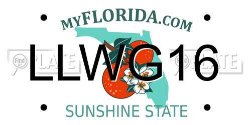 LLWG16 Florida License Plate