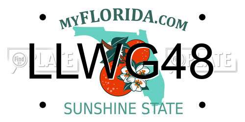 LLWG48 Florida License Plate