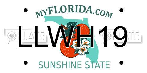 LLWH19 Florida License Plate