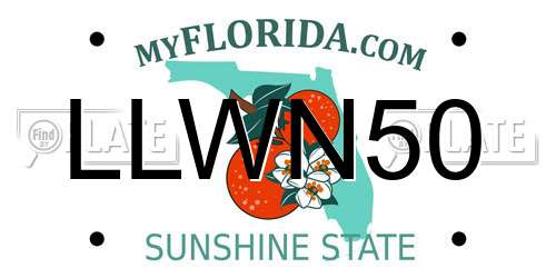 LLWN50 Florida License Plate