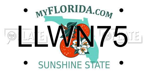 LLWN75 Florida License Plate
