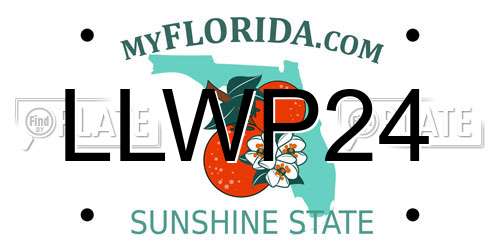 LLWP24 Florida License Plate