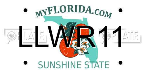 LLWR11 Florida License Plate