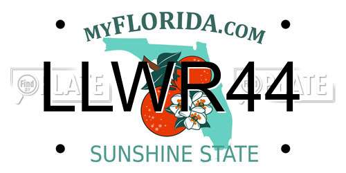 LLWR44 Florida License Plate
