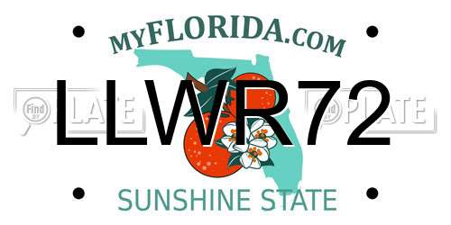 LLWR72 Florida License Plate