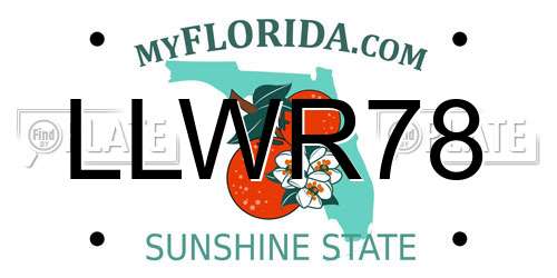 LLWR78 Florida License Plate