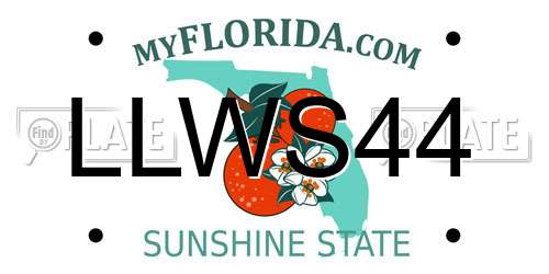 LLWS44 Florida License Plate