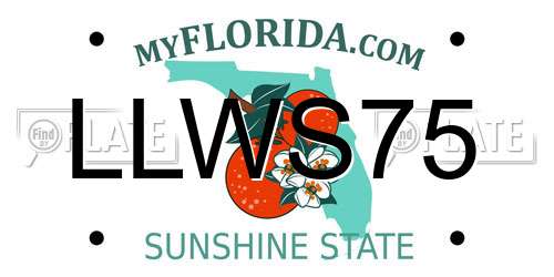 LLWS75 Florida License Plate