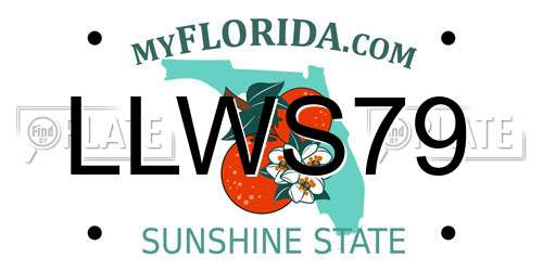 LLWS79 Florida License Plate