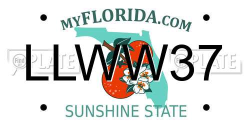 LLWW37 Florida License Plate