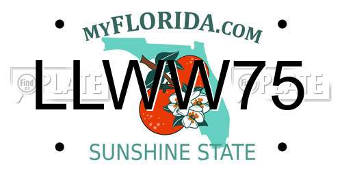 LLWW75 Florida License Plate