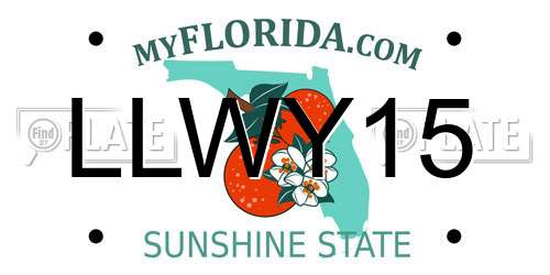 LLWY15 Florida License Plate