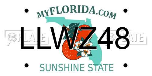 LLWZ48 Florida License Plate