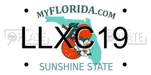 LLXC19 Florida License Plate