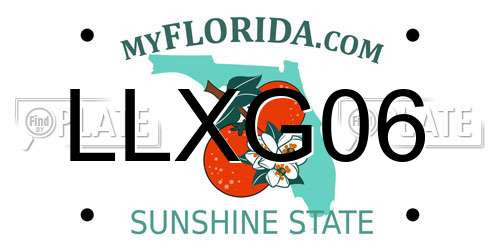 LLXG06 Florida License Plate