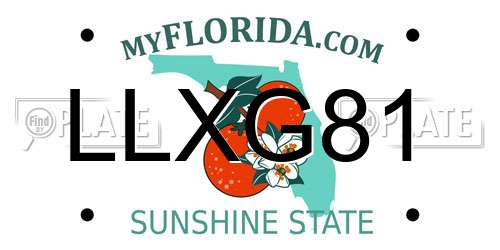 LLXG81 Florida License Plate