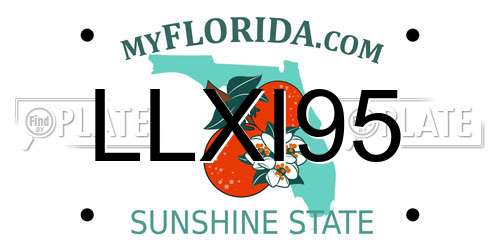 LLXI95 Florida License Plate