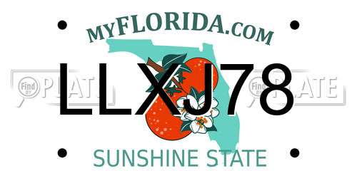 LLXJ78 Florida License Plate