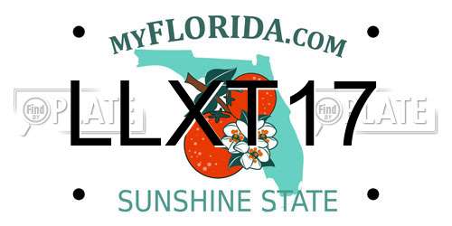 LLXT17 Florida License Plate