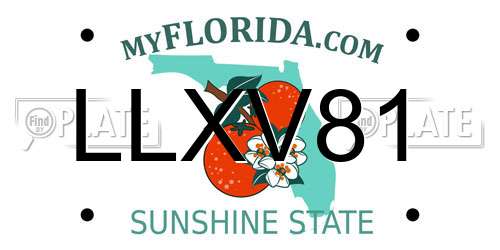 LLXV81 Florida License Plate