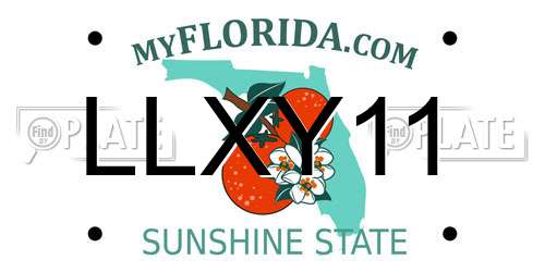 LLXY11 Florida License Plate