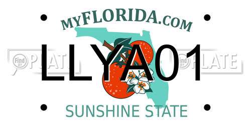 LLYA01 Florida License Plate