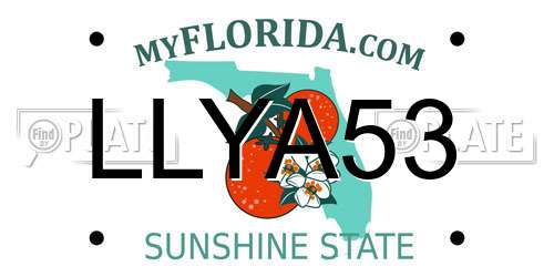 LLYA53 Florida License Plate